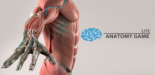 Anatomy Game Anatomicus Lite for PC - How to Install on Windows PC, Mac
