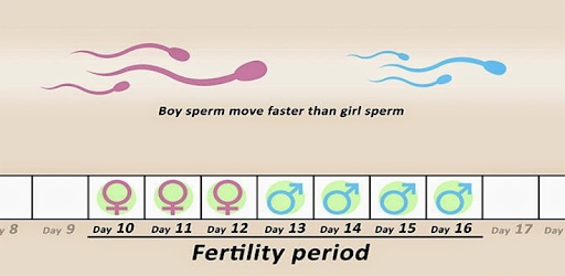 ovulation calculator pc screenshot