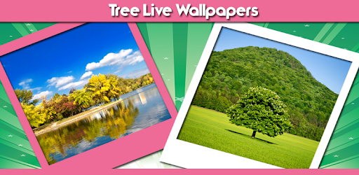 Tree Live Wallpapers for PC - How to Install on Windows PC, Mac