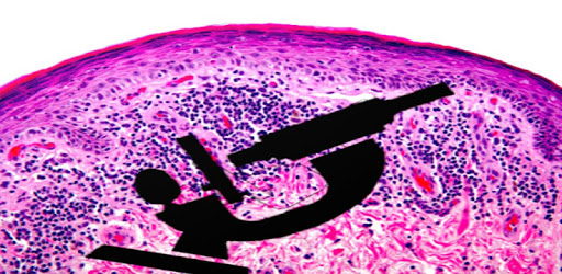 Histology Guide for PC - How to Install on Windows PC, Mac