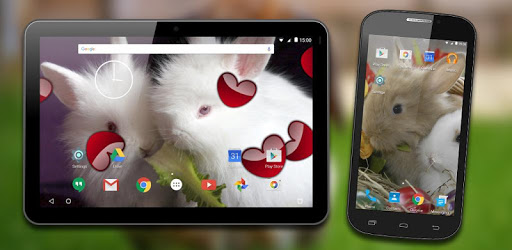 Rabbits Live Wallpaper for PC - How to Install on Windows PC, Mac