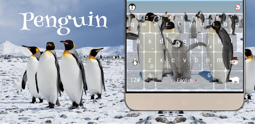 Polar Penguin Keyboard Theme APK Download For Free