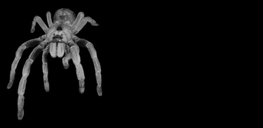 Tarantulas for PC - How to Install on Windows PC, Mac