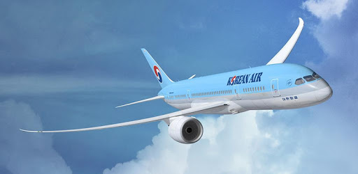 Korean Air pc screenshot Korean Air pc screenshot
