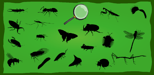 Find Hidden Stuff Game: Insect for PC - How to Install on Windows PC, Mac
