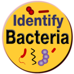 Bacteria Identification Made Easy | Free & Offline icon