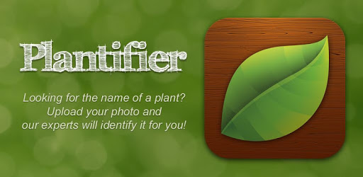 Plantifier pc screenshot