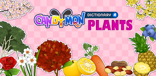 CM Dictionary - Plants (Free) pc screenshot CM Dictionary - Plants (Free) pc screenshot