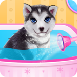 Husky Puppy Spa Salon icon