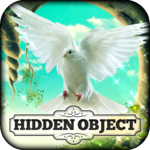 Hidden Object Game icon