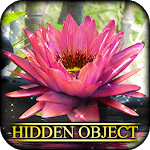 Hidden Object - State of Zen icon
