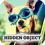 Hidden Object - Travelling Pets icon