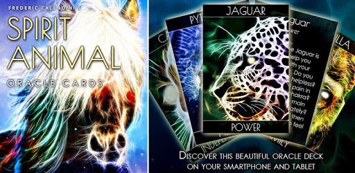 Spirit Animal Oracle Cards pc screenshot