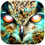Spirit Animal Oracle Cards icon