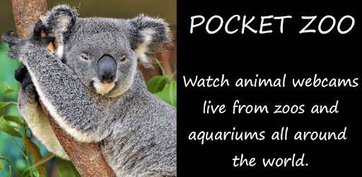 Pocket Zoo pc screenshot Pocket Zoo pc screenshot