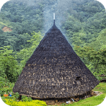 Traditional house icon