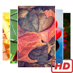 4K HD Wallpapers & Backgrounds for pc icon 4K HD Wallpapers & Backgrounds for pc icon