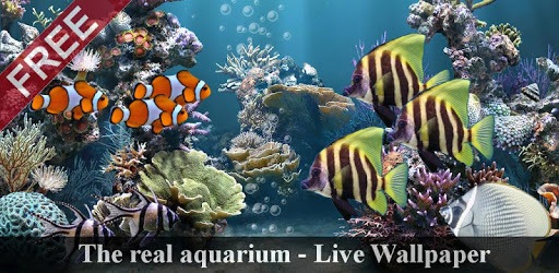 The real aquarium - LWP pc screenshot The real aquarium - LWP pc screenshot