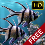 The real aquarium - HD icon