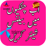 Balance Share in Pakistan icon