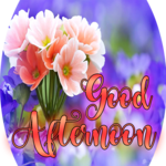 Good Afternoon messages and phrases friends icon