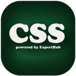 Learn CSS for pc icon