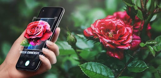 Plant Lens - Plant & Flower Identification pc screenshot