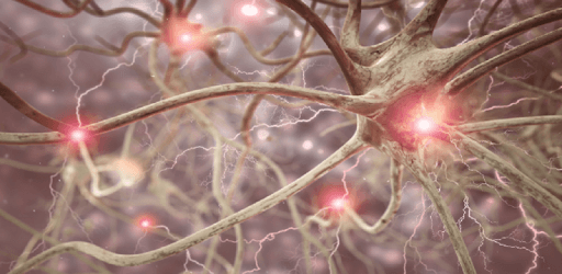 NIHSS - NIH Stroke Scale pc screenshot NIHSS - NIH Stroke Scale pc screenshot