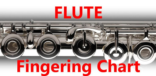 Flute Fingerings Free pc screenshot Flute Fingerings Free pc screenshot