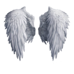 KNOW YOUR ANGELS - Know About Your Guardian Angel icon
