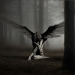 Tarot of the Angels lite icon