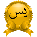 Yaseen Shareef Hindi / English icon