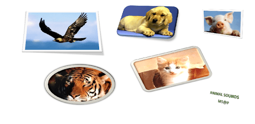 Free Animal Sounds Beta pc screenshot Free Animal Sounds Beta pc screenshot
