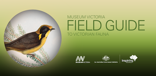 Field Guide to Victorian Fauna pc screenshot