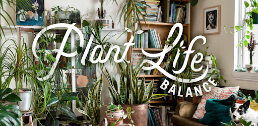 Plant Life Balance pc screenshot Plant Life Balance pc screenshot