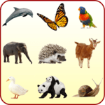 Animal Sounds icon