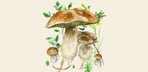 Mushrooms app pc screenshot