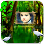 My photo live wallpaper icon