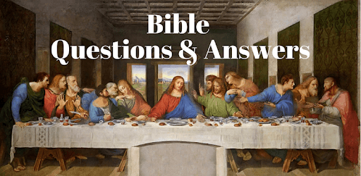 Bible Study Questions and Answers pc screenshot Bible Study Questions and Answers pc screenshot