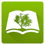 Bible icon