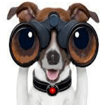 Binoculars Spy Camera HD icon