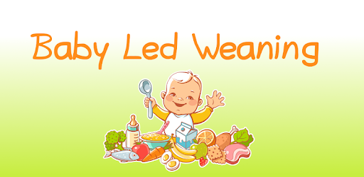 Baby Led Weaning - Guide & Recipes pc screenshot