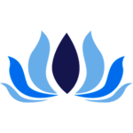 BMS icon