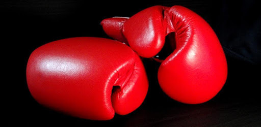 Boxing Video Live Wallpaper pc screenshot Boxing Video Live Wallpaper pc screenshot