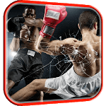 Boxing Video Live Wallpaper icon