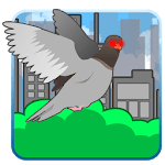 Poop Bird icon