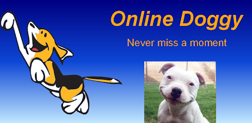 ODoggy pc screenshot ODoggy pc screenshot