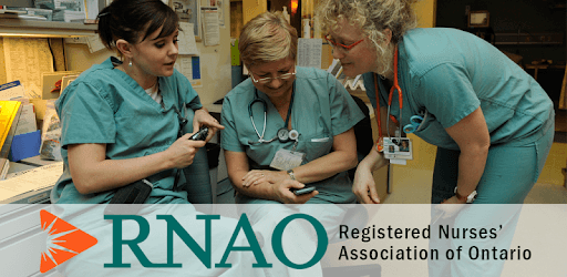 RNAO BPGs pc screenshot RNAO BPGs pc screenshot