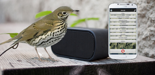 Bird Sound Free pc screenshot Bird Sound Free pc screenshot