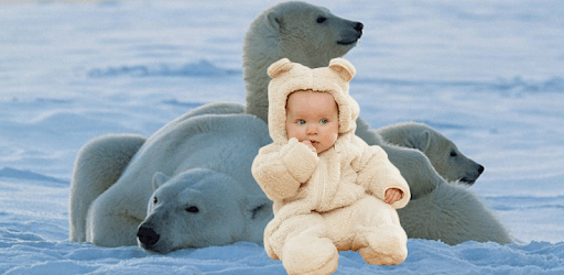 Animal Photo Frames 2018 pc screenshot Animal Photo Frames 2018 pc screenshot